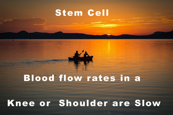 blood-flow-increase-ed-bent-penus